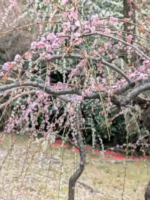 城南宮の{uncategorized: "未分類", other: "その他", undefined: "問題あり", building: "その他建物", grave: "お墓", sacred_gate: "鳥居", guardian: "狛犬", statue: "像", buddha: "仏像", history: "歴史", nature: "自然", garden: "庭園", animal: "動物", pagoda: "塔", temizu: "手水舎", mountain_gate: "山門・神門", sanctuary: "本殿・本堂", subordinate: "末社・摂社", art: "芸術", scenery: "景色", jizo: "地蔵", ema: "絵馬", goshuin: "御朱印", omikuji: "おみくじ", items: "授与品その他", amulet: "お守り", goshuincho: "御朱印帳", eats: "食事", festival: "お祭り", votive_dance: "神楽", shichigosan: "七五三参", wedding: "結婚式", experience: "体験その他", initially: "初詣", around: "周辺", anti_infection: "感染症対策"}