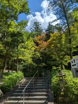 今熊野観音寺(京都府)