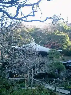 瑞泉寺の本殿・本堂