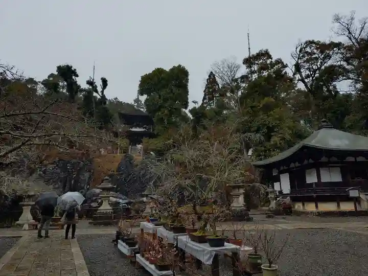 石山寺(滋賀県)