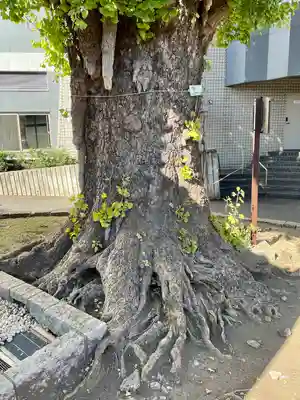 稼穡稲荷社(東京都)