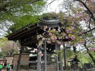 天福寺(千葉県)