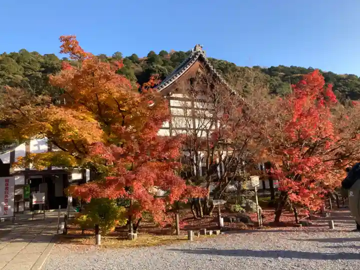 禅林寺(永観堂)(京都府)