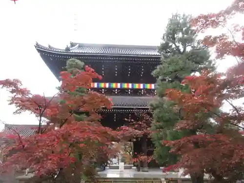 くろ谷 金戒光明寺の山門