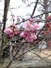 賀羅加波神社の自然