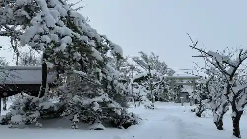 秋葉神社の{uncategorized: "未分類", other: "その他", undefined: "問題あり", building: "その他建物", grave: "お墓", sacred_gate: "鳥居", guardian: "狛犬", statue: "像", buddha: "仏像", history: "歴史", nature: "自然", garden: "庭園", animal: "動物", pagoda: "塔", temizu: "手水舎", mountain_gate: "山門・神門", sanctuary: "本殿・本堂", subordinate: "末社・摂社", art: "芸術", scenery: "景色", jizo: "地蔵", ema: "絵馬", goshuin: "御朱印", omikuji: "おみくじ", items: "授与品その他", amulet: "お守り", goshuincho: "御朱印帳", eats: "食事", festival: "お祭り", votive_dance: "神楽", shichigosan: "七五三参", wedding: "結婚式", experience: "体験その他", initially: "初詣", around: "周辺", anti_infection: "感染症対策"}