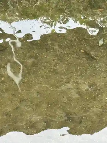 丸池神社(山形県)