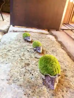 陽運寺(東京都)