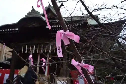 桜神宮(東京都)