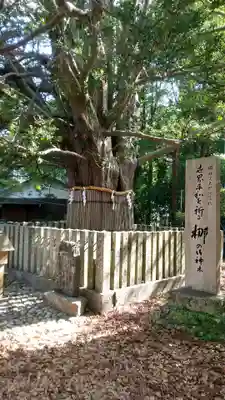 熊野速玉大社(和歌山県)