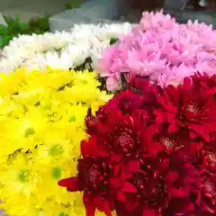 滑川神社 - 仕事と子どもの守り神の自然