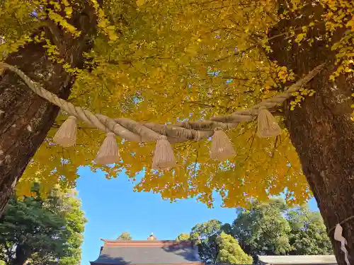 亀ケ池八幡宮(神奈川県)