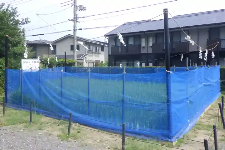 松尾大社の自然