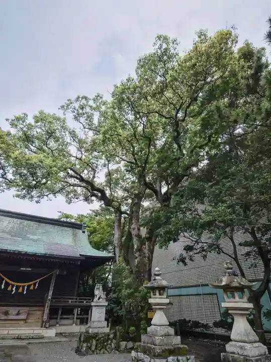 貴布禰神社の自然