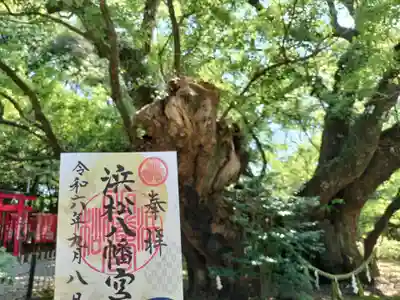 浜松八幡宮(静岡県)