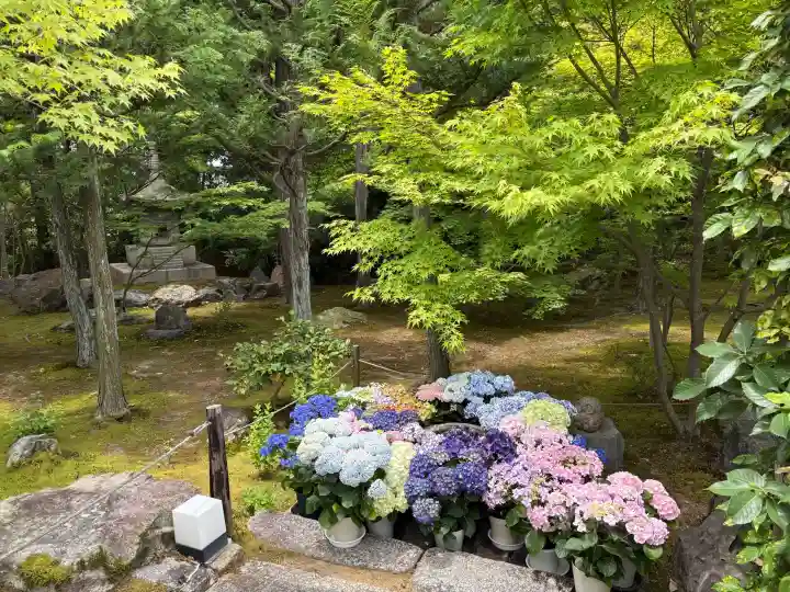 勝林寺の{uncategorized: "未分類", other: "その他", undefined: "問題あり", building: "その他建物", grave: "お墓", sacred_gate: "鳥居", guardian: "狛犬", statue: "像", buddha: "仏像", history: "歴史", nature: "自然", garden: "庭園", animal: "動物", pagoda: "塔", temizu: "手水舎", mountain_gate: "山門・神門", sanctuary: "本殿・本堂", subordinate: "末社・摂社", art: "芸術", scenery: "景色", jizo: "地蔵", ema: "絵馬", goshuin: "御朱印", omikuji: "おみくじ", items: "授与品その他", amulet: "お守り", goshuincho: "御朱印帳", eats: "食事", festival: "お祭り", votive_dance: "神楽", shichigosan: "七五三参", wedding: "結婚式", experience: "体験その他", initially: "初詣", around: "周辺", anti_infection: "感染症対策"}