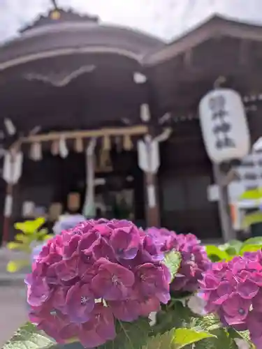 磐井神社(東京都)