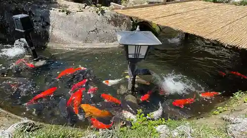 神野寺(千葉県)