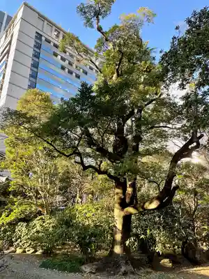 天徳寺(東京都)
