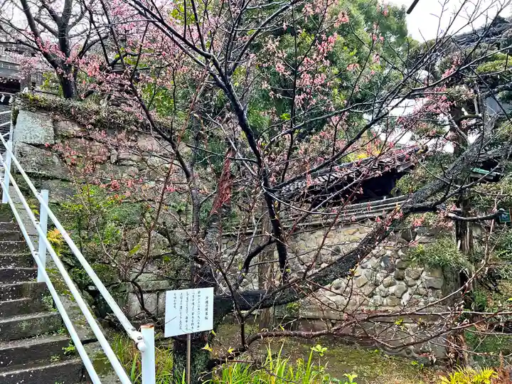 西山神社(長崎県)