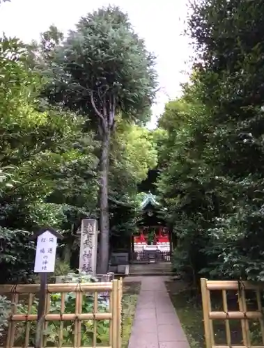 白金氷川神社(東京都)