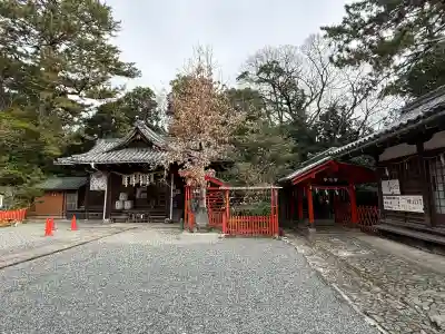 紀州東照宮の{uncategorized: "未分類", other: "その他", undefined: "問題あり", building: "その他建物", grave: "お墓", sacred_gate: "鳥居", guardian: "狛犬", statue: "像", buddha: "仏像", history: "歴史", nature: "自然", garden: "庭園", animal: "動物", pagoda: "塔", temizu: "手水舎", mountain_gate: "山門・神門", sanctuary: "本殿・本堂", subordinate: "末社・摂社", art: "芸術", scenery: "景色", jizo: "地蔵", ema: "絵馬", goshuin: "御朱印", omikuji: "おみくじ", items: "授与品その他", amulet: "お守り", goshuincho: "御朱印帳", eats: "食事", festival: "お祭り", votive_dance: "神楽", shichigosan: "七五三参", wedding: "結婚式", experience: "体験その他", initially: "初詣", around: "周辺", anti_infection: "感染症対策"}
