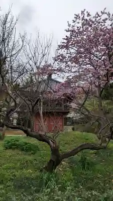 灌頂院(埼玉県)
