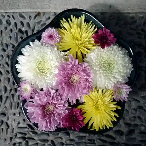 帯廣神社の手水舎