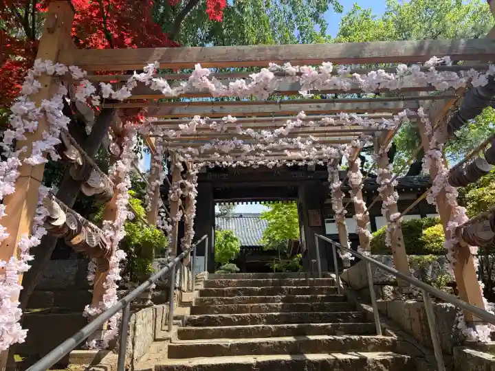 法輪寺の{uncategorized: "未分類", other: "その他", undefined: "問題あり", building: "その他建物", grave: "お墓", sacred_gate: "鳥居", guardian: "狛犬", statue: "像", buddha: "仏像", history: "歴史", nature: "自然", garden: "庭園", animal: "動物", pagoda: "塔", temizu: "手水舎", mountain_gate: "山門・神門", sanctuary: "本殿・本堂", subordinate: "末社・摂社", art: "芸術", scenery: "景色", jizo: "地蔵", ema: "絵馬", goshuin: "御朱印", omikuji: "おみくじ", items: "授与品その他", amulet: "お守り", goshuincho: "御朱印帳", eats: "食事", festival: "お祭り", votive_dance: "神楽", shichigosan: "七五三参", wedding: "結婚式", experience: "体験その他", initially: "初詣", around: "周辺", anti_infection: "感染症対策"}