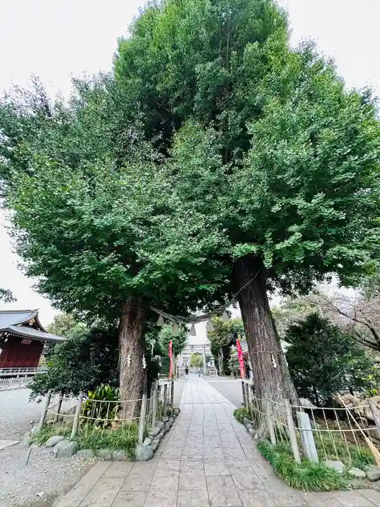 亀ケ池八幡宮(神奈川県)
