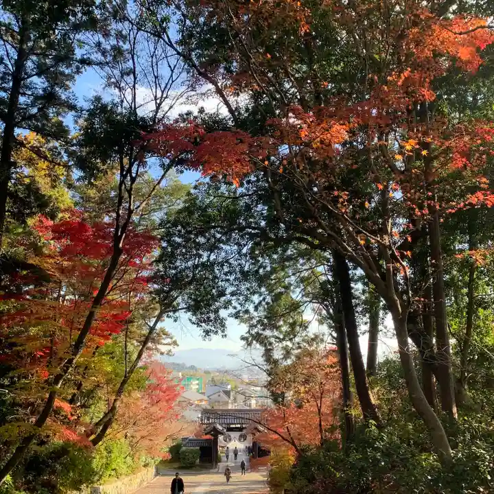 光明寺(粟生光明寺)(京都府)