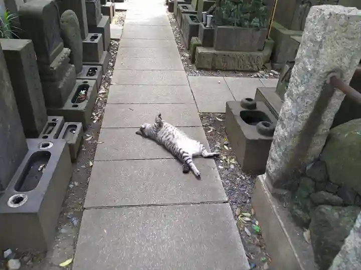 回向院(東京都)