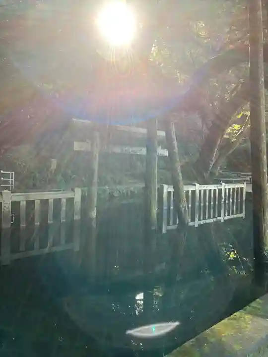 鹿島神宮(茨城県)