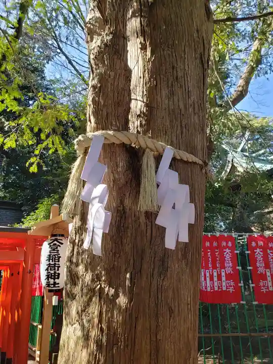 大宮八幡宮の自然