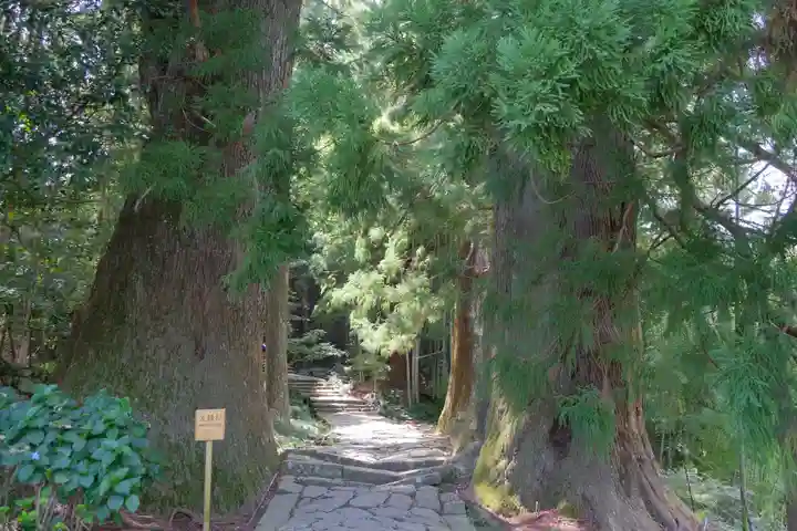 熊野那智大社の自然