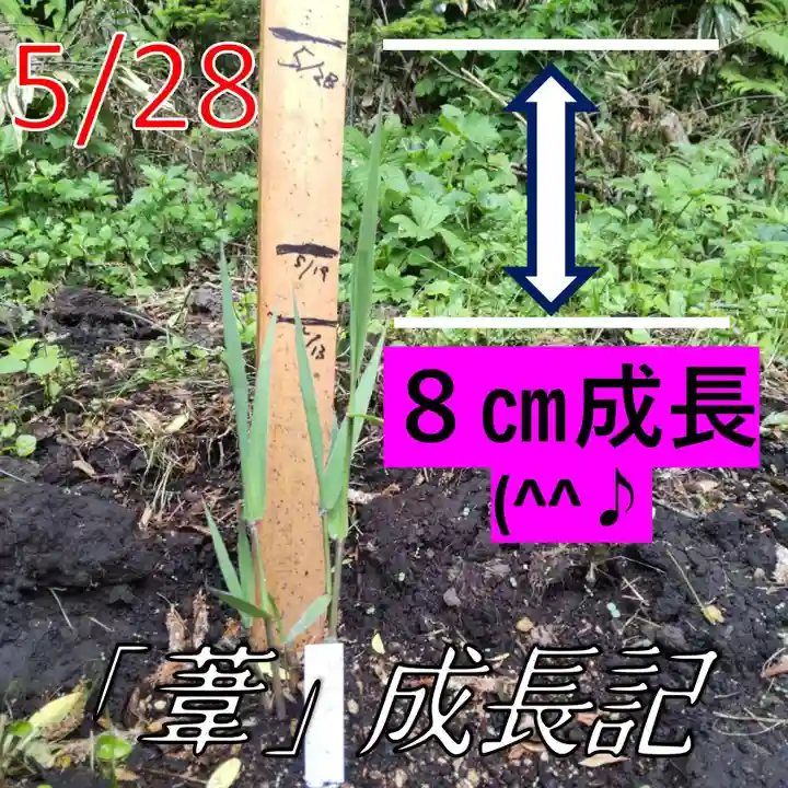 七重浜海津見神社(北海道)