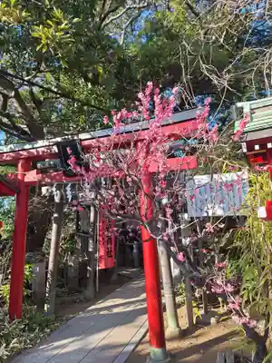 岡村天満宮(神奈川県)