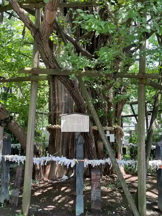 稲毛神社(神奈川県)