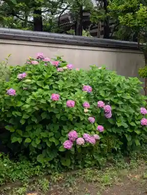 白山神社(東京都)