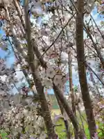 俵真布神社(北海道)