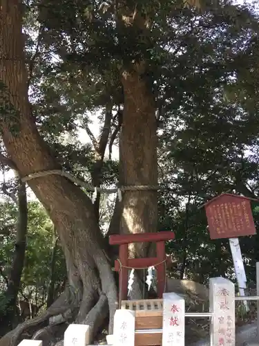 魂生神社の自然