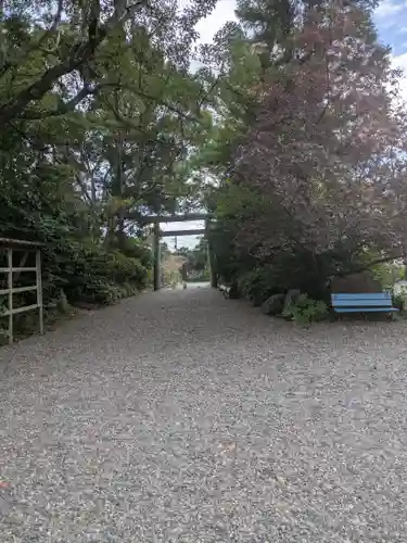 天津神明宮(千葉県)