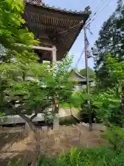 本圀寺の建物その他