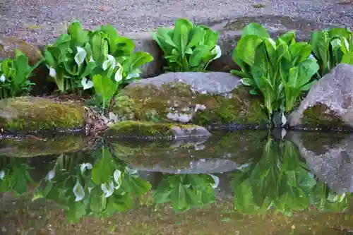 真照寺(福島県)