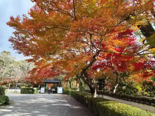 根来寺(和歌山県)