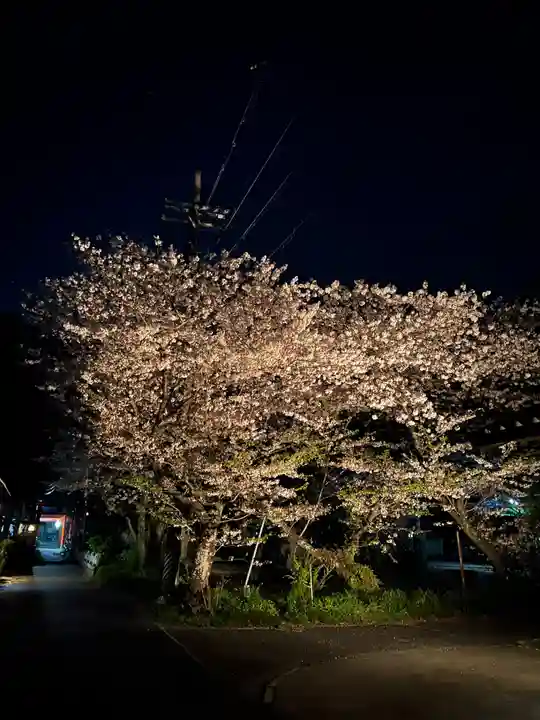 大木神社(三重県)