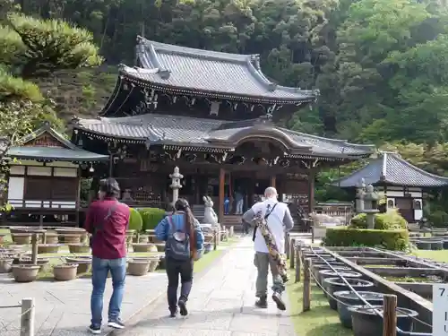 三室戸寺の本殿・本堂