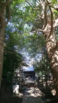 大宮神社の本殿・本堂