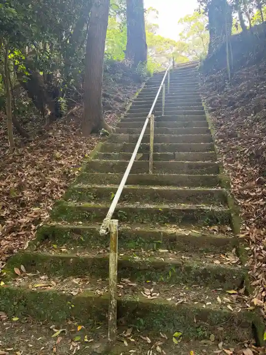 箱崎神社の{uncategorized: "未分類", other: "その他", undefined: "問題あり", building: "その他建物", grave: "お墓", sacred_gate: "鳥居", guardian: "狛犬", statue: "像", buddha: "仏像", history: "歴史", nature: "自然", garden: "庭園", animal: "動物", pagoda: "塔", temizu: "手水舎", mountain_gate: "山門・神門", sanctuary: "本殿・本堂", subordinate: "末社・摂社", art: "芸術", scenery: "景色", jizo: "地蔵", ema: "絵馬", goshuin: "御朱印", omikuji: "おみくじ", items: "授与品その他", amulet: "お守り", goshuincho: "御朱印帳", eats: "食事", festival: "お祭り", votive_dance: "神楽", shichigosan: "七五三参", wedding: "結婚式", experience: "体験その他", initially: "初詣", around: "周辺", anti_infection: "感染症対策"}