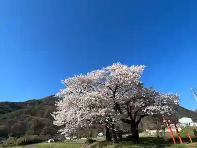 天神宮(伝河原氏屋敷跡)の自然